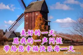 人生几十年，酸甜苦辣咸，各种滋味都有，早安图片