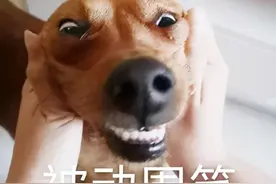 开心一刻｜万水千山总是情，不穿秋裤真不行图片