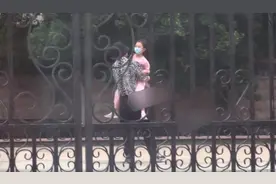 贾乃亮 李小璐陪甜馨玩耍 离婚后一家三口首同框图片