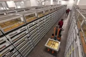 多次拒绝中国运回黄金，我国终于出手，美国更是进退两难图片