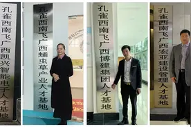 今天增8，孔雀西南飞人才基地达277家图片