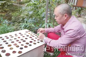 废品站“淘”回军功章60余枚 每枚都是一个英雄的故事图片
