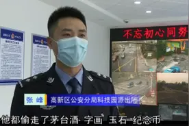 大年初一，淄博一住户被偷数百万元财物、奔驰越野！嫌疑人意想不到图片