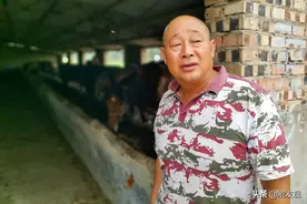 他靠贩活牛、活马为生，牛十五元一斤，马十三元一斤，年赚八十万图片