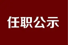 干部任职公示图片