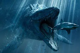 海洋深处是否有存在某些巨型生物的可能？比蓝鲸还大的那种图片