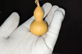 小美葫芦也挺好玩的图片