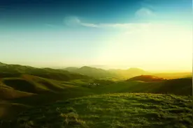 心理学丨连看两周小说后，我感觉自己明显变笨了图片