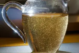 白茶是热性还是凉性图片