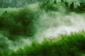 中国春茶地图图片
