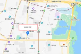 恒二法拍价捅破“天花板”，深圳湾公馆却无人问津图片