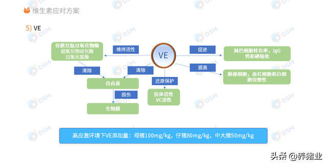 李曼大会听课笔记连载（二）（母猪营养、生长速度、应激、无抗）