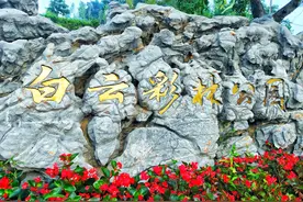 大连白云彩林公园，山上有野生梅花鹿哦图片