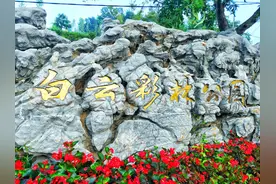 大连白云彩林公园，山上有野生梅花鹿哦图片