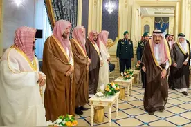 特殊的阶层，特殊的存在——沙特国王的傀儡、橡皮章图片