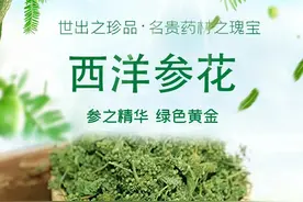 西洋参花，参之精华绿色黄金图片