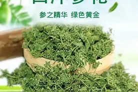 西洋参花，参之精华绿色黄金图片