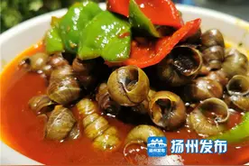 螺蛳被列国家二级保护动物？没错！但是此螺蛳非彼螺蛳图片