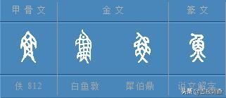 “说文解字”巧说“年”——年夜饭背后的“味道”好丰富……