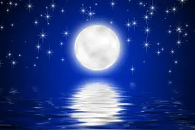 那些爆笑小说桥段——总裁图片