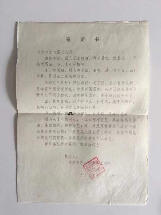 犀角化毒丸哪里能买到
