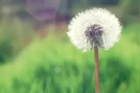 六十分，其实是挺不错的一个成绩图片