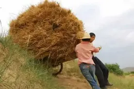 和父亲在一起的美好时光图片