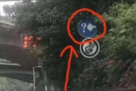 又一高速新标志出现，问号加灯泡啥意思？交警：不懂就等着扣分图片