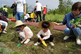 耍水、爬山、游古镇、网红地拍照打卡……暑假不出大成都照样耍嗨图片
