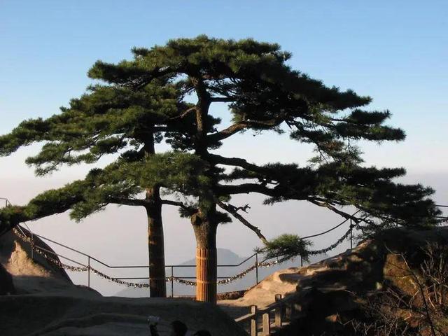 在古诗词中，“南冠、南浦、南风、南楼”有什么特殊的寓意？