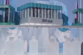 被疑会污染DNA制造“转基因人”，500支新冠疫苗被糟蹋？图片