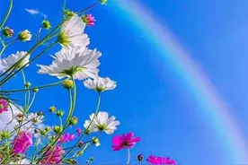 为什么养娃那么累？图片