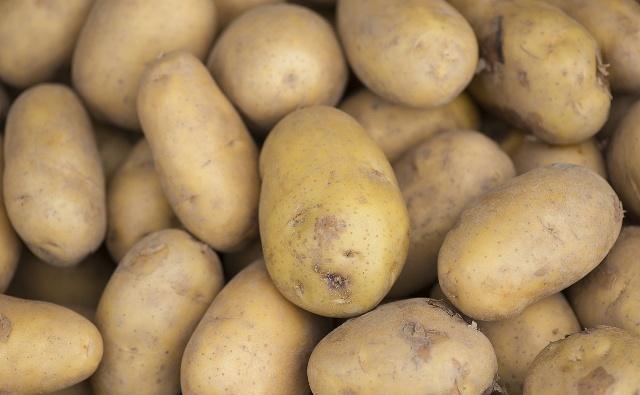 最好的地下块根、块茎膨大素，只需喷2遍，增产十分显著