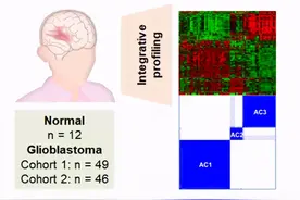 脑科学日报：如果奖励来得太容易，大脑还会“重视”吗？图片