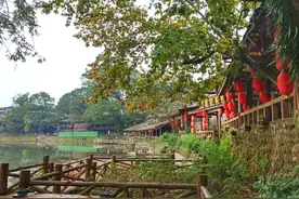 柳江古镇的秋，一种不容错过的美图片