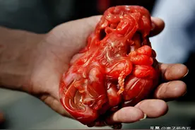 四川奇石玉石一览，有个村子几乎每户靠捡石头年入几十万图片