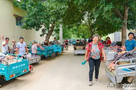 7旬农村老人一生辛勤劳作，种3亩半桃园，年老自力更生，敬佩图片