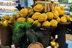 Q&A | 如何识别榴莲有虫没虫？图片