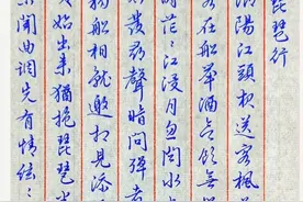硬笔行书《琵琶行》图片