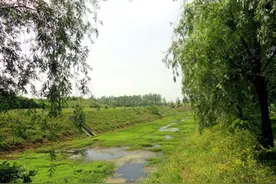 河南的这个小镇厉害了！竟同时拥有火车站，高铁站和机场图片