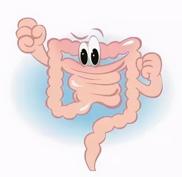 燕窝有毛挑不干净可以吃吗 2025年燕窝里面的毛挑不干净能吃吗