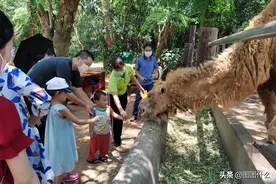 景区餐厅关闭堂食，现场摆摊卖盒饭，58元一份会有很多人买吗？图片