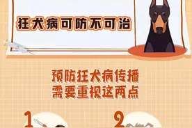 狂犬病：知真相，不恐狂图片