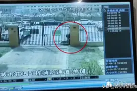 快递被顺走（续）：“冒领者”系70岁大娘，民警介入寻回快件图片