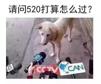 520比521更适合表白，居然是因为南方人的口音…