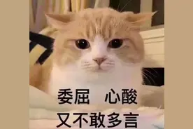 有种感动叫“胎儿保护妈妈”，怀孕后胎儿做的暖心事，可别不知道图片