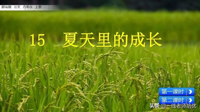 统版六年级上册第15课《夏天里的成长》重点知识点+课件