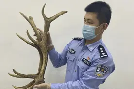 【国门利剑2020】湛江海关多措并举全方位推进“全员打私”见实效图片