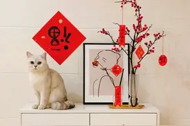 牛年大吉！你家年味“气氛组”上线了吗？图片