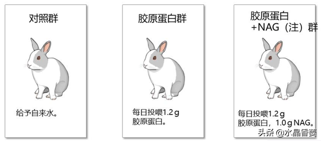 补充胶原蛋白真的可以让皮肤变好吗？